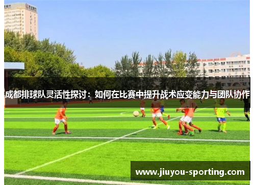 成都排球队灵活性探讨：如何在比赛中提升战术应变能力与团队协作